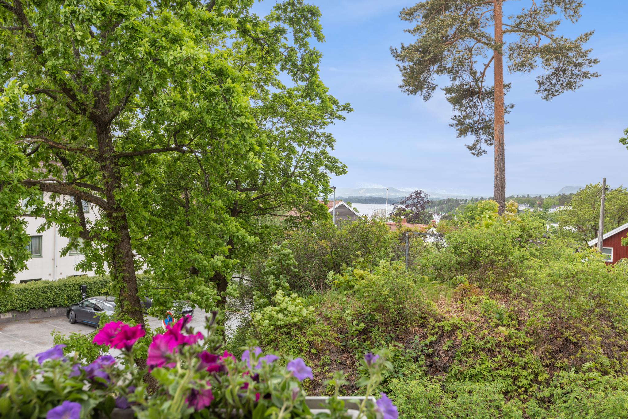 Utsikt fra balkongen
